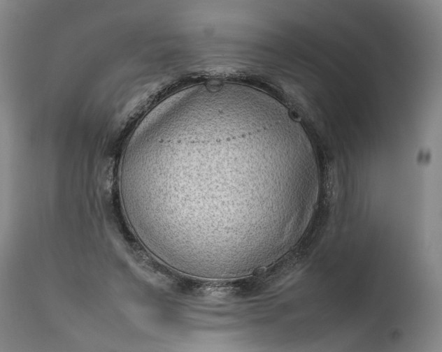 X0000111190495200907151353