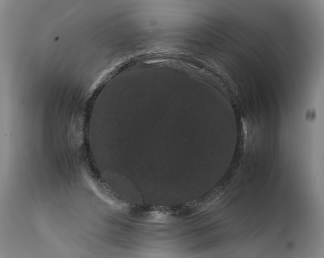 X0000111190496200907151353