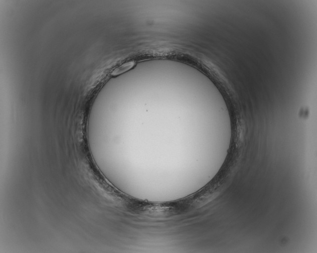 X0000111190497200907151353