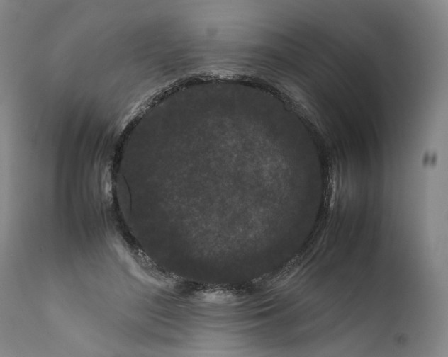 X0000111190500200907151353