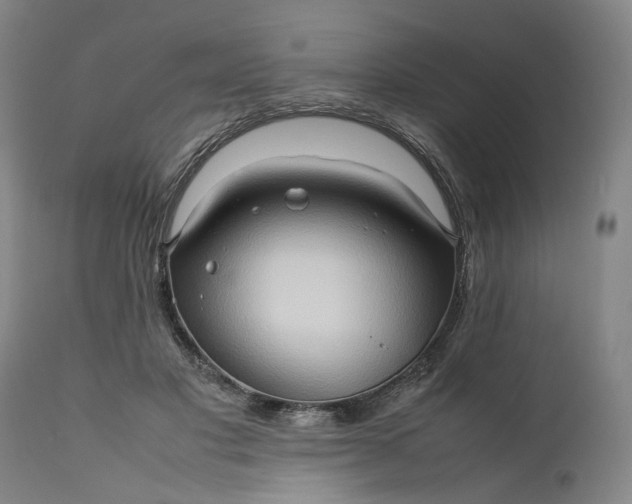 X0000111190501200907151353