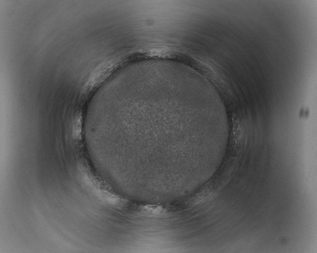 X0000111190502200907151353