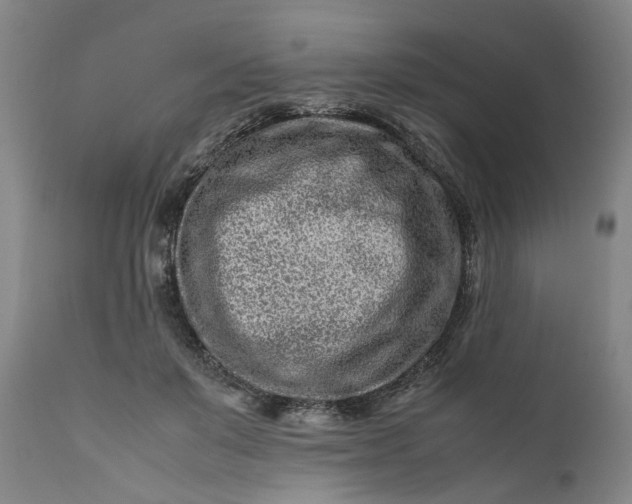 X0000111190503200907151353