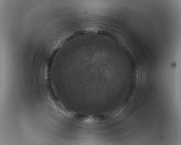 X0000111190504200907151353