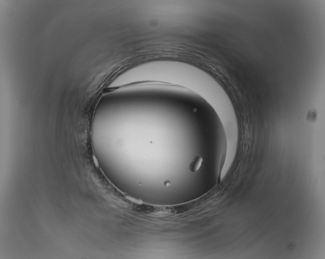 X0000111190505200907151353