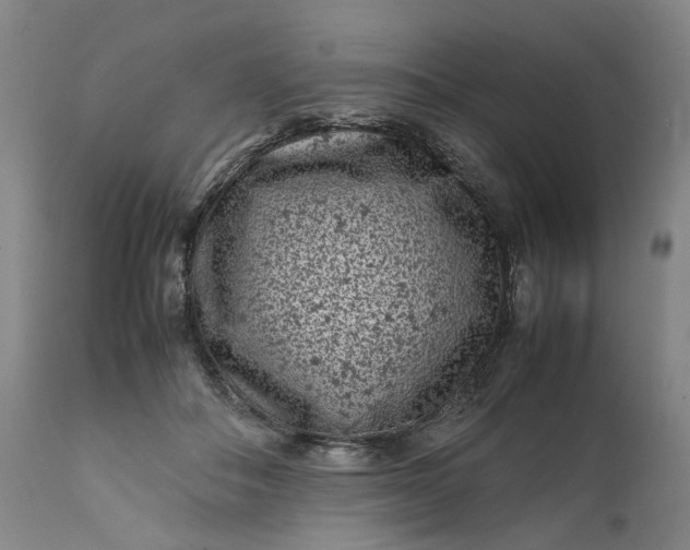 X0000111190506200907151353