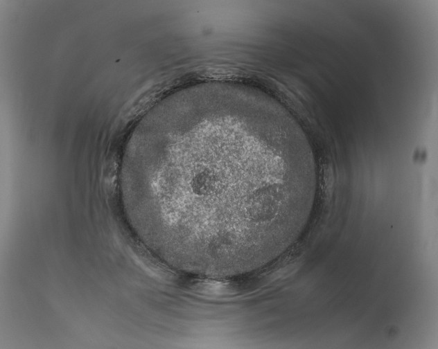 X0000111190507200907151353