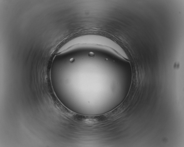 X0000111190508200907151353