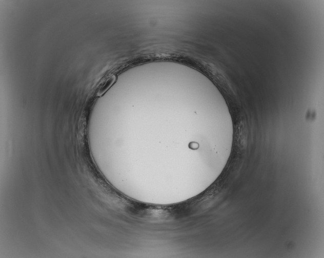 X0000111190509200907151353