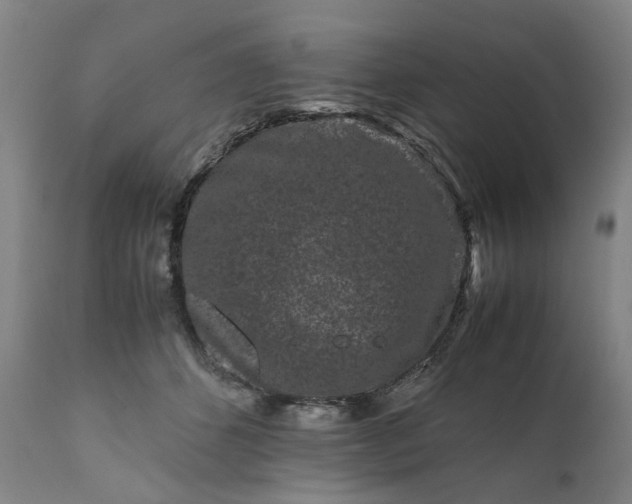 X0000111190512200907151352