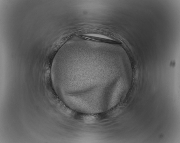 X0000111190513200907151352