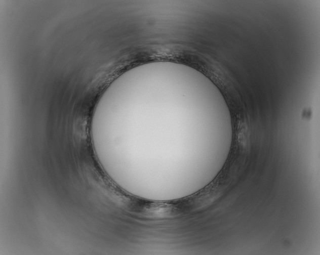 X0000111190514200907151352