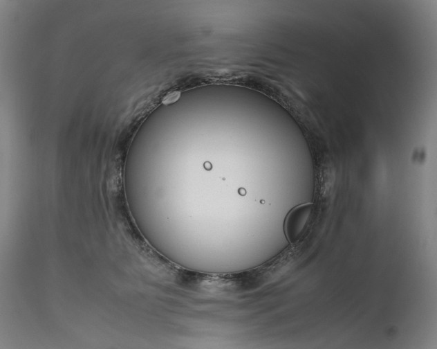 X0000111190515200907151352