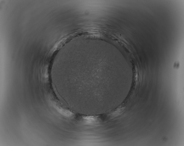 X0000111190516200907151352