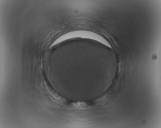 X0000111190517200907151352