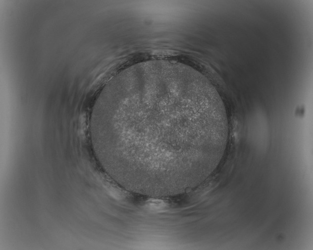 X0000111190519200907151352