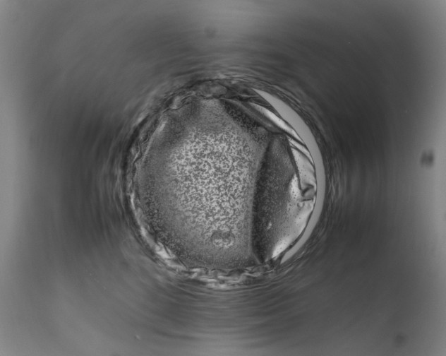 X0000111190520200907151352