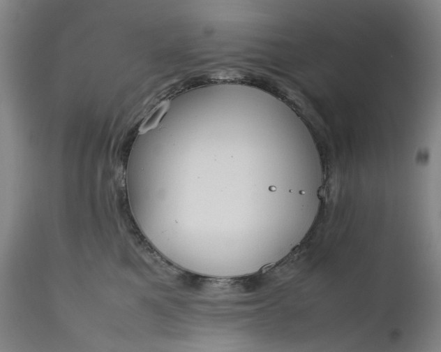 X0000111190521200907151352