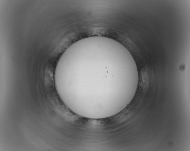 X0000111190522200907151352