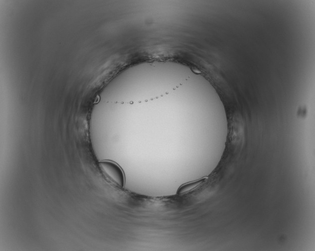 X0000111190523200907151352