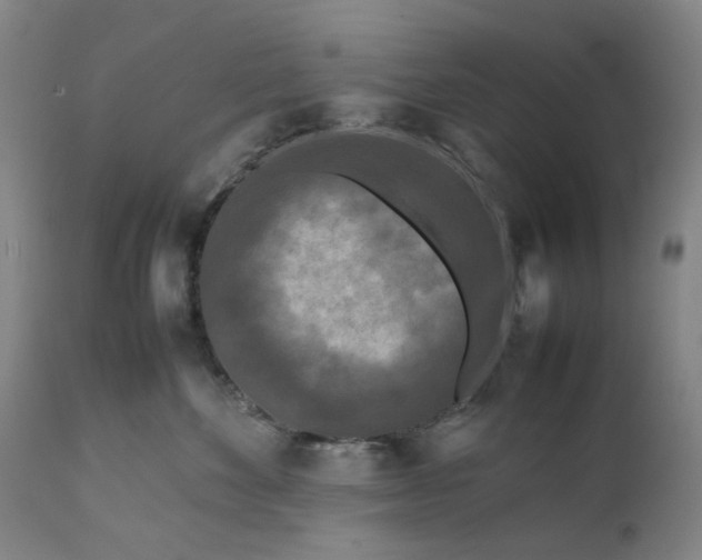 X0000111190524200907151352