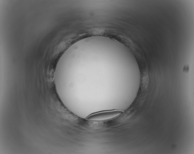 X0000111190525200907151352