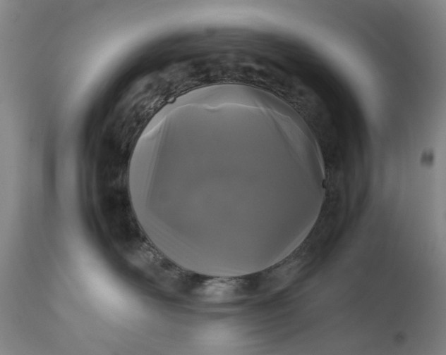 X0000111190526200907151352