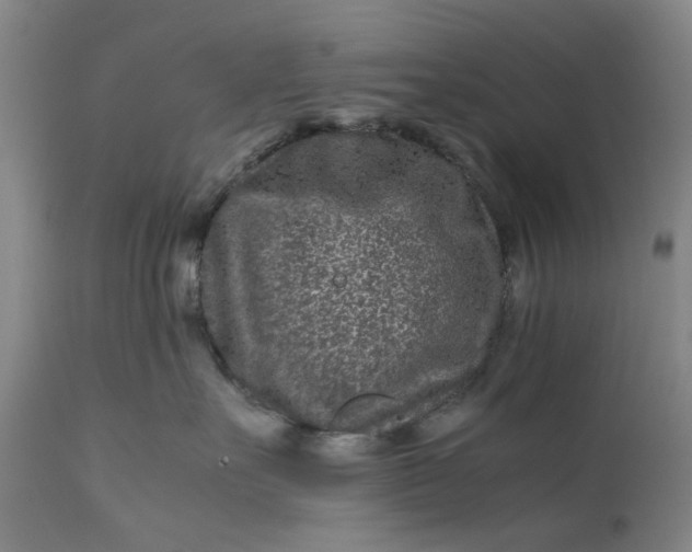 X0000111190527200907151352