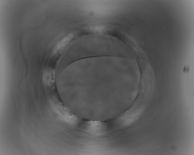 X0000111190528200907151352