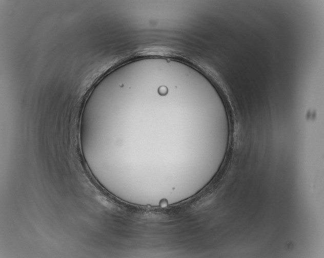 X0000111190529200907151352