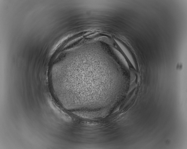 X0000111190531200907151352