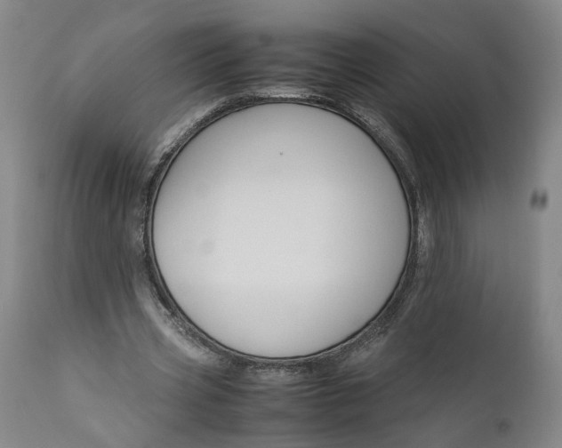 X0000111190533200907151352