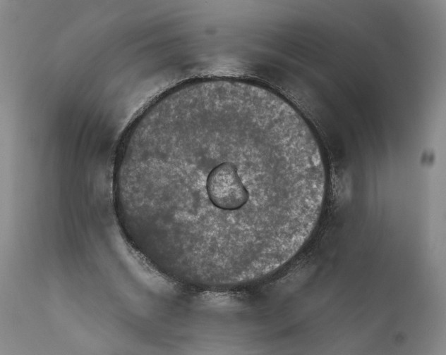 X0000111190534200907151352