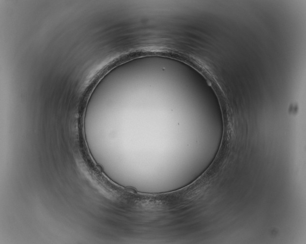 X0000111190535200907151352