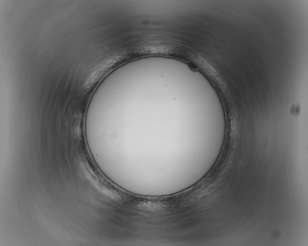 X0000111190537200907151352