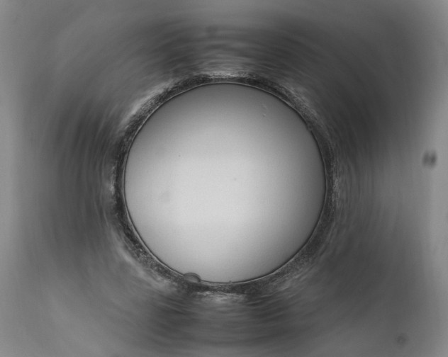 X0000111190539200907151352