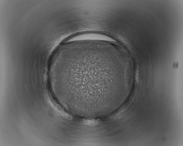 X0000111190540200907151352