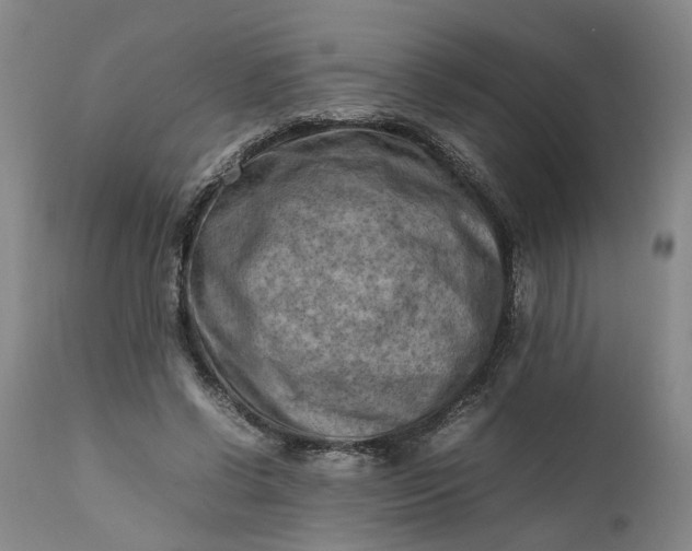 X0000111190542200907151352