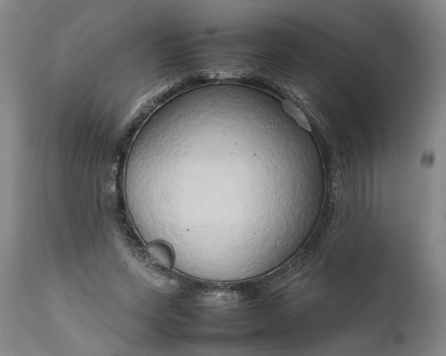 X0000111190543200907151352