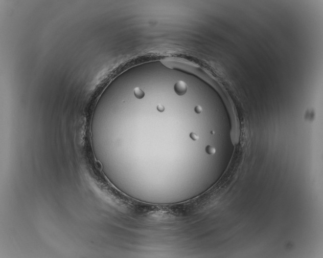 X0000111190544200907151352