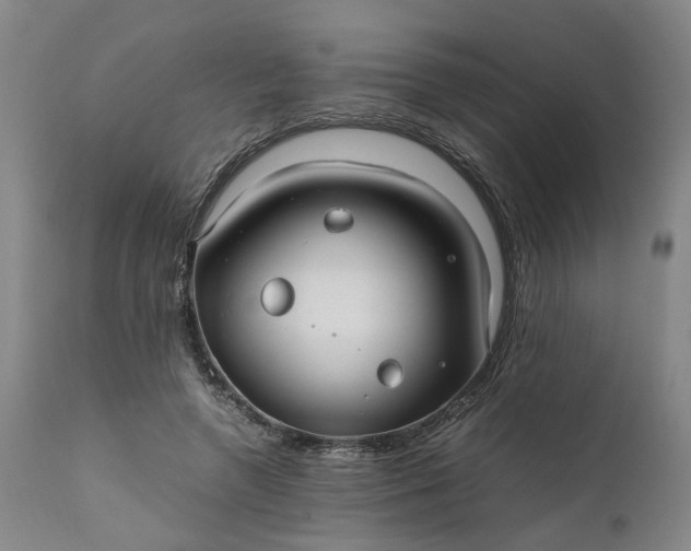 X0000111190546200907151352