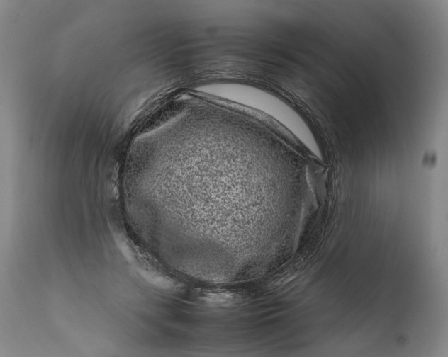 X0000111190547200907151352