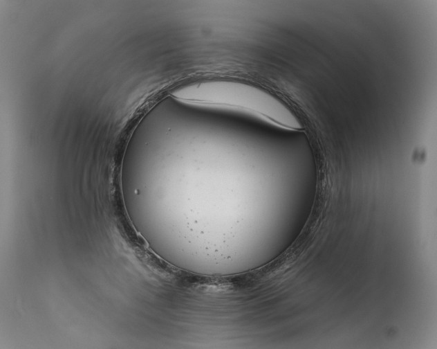 X0000111190548200907151352