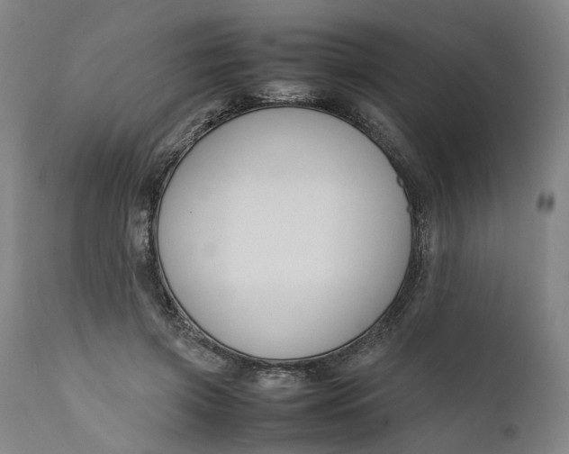 X0000111190549200907151352