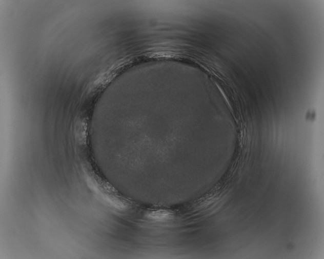 X0000111190551200907151352