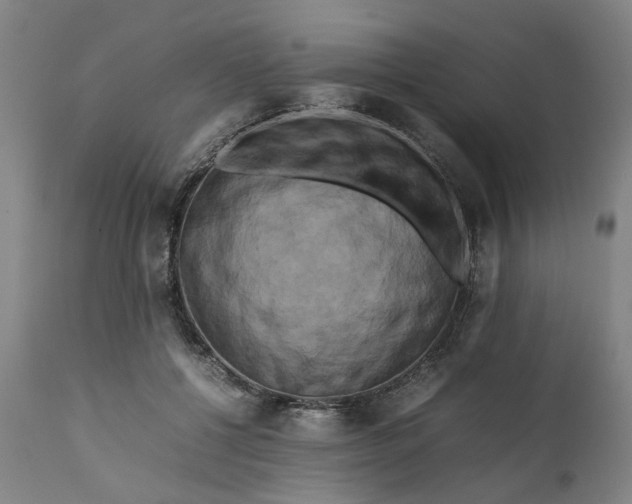 X0000111190552200907151352