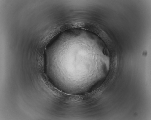 X0000111190553200907151352