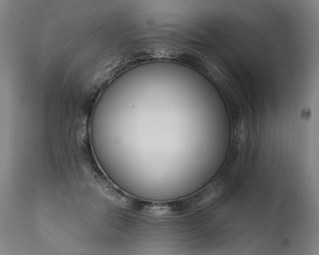 X0000111190554200907151352