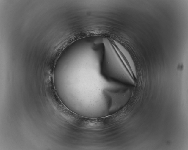 X0000111190555200907151352