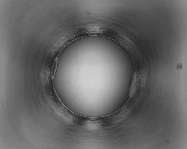 X0000111190556200907151352